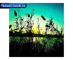 Anunturi Imobiliare 1011 m.Teren Intravilan Lacul Colentina din Buftea