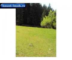 Anunturi Imobiliare Vand casa de vacanta sau locuit ,zona superba ,bicaz neamt