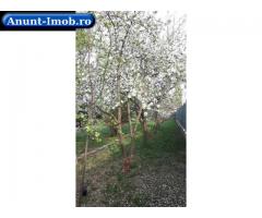 Anunturi Imobiliare vand vila in rosu-chiajna zona apeductului/apanova