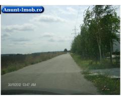 Anunturi Imobiliare Teren Buftea Gara Rombiz 17500 mp  Industrial Depozitare