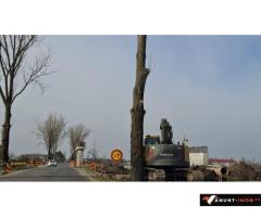 Anunturi Imobiliare Teren la DJ Corbeanca Buftea 14600 mp zona Mixta acces A0