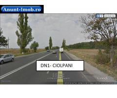 Anunturi Imobiliare Teren la DN1 Ciolpani Bucuresti  36 Ha intravilan
