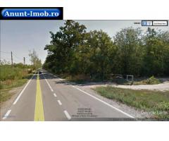 Anunturi Imobiliare Teren Ciolpani Silistea vand  6545 mp latura la Padure