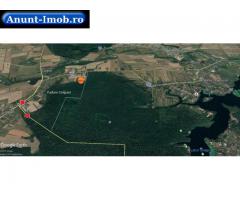 Anunturi Imobiliare Teren Ciolpani Silistea vand  6545 mp latura la Padure
