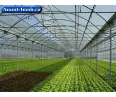Anunturi Imobiliare TEREN INDRUSTRIAL BUFTEA Sosea ROMBIZ
