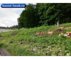 Anunturi Imobiliare Teren Busteni, 3.999 mp, deschidere DN 1 aprox. 113 m, comision 0%