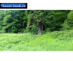 Anunturi Imobiliare Teren Busteni, 3.999 mp, deschidere DN 1 aprox. 113 m, comision 0%