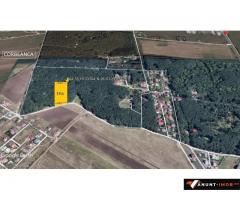 Anunturi Imobiliare Vand teren Corbeanca str Radarului 1 Ha impadurit aviz pentru 2 case
