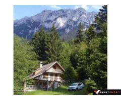 Anunturi Imobiliare Vanzare Cabana in pitorescul peisaj din Plaiul Foii, Zarnesti Brasov