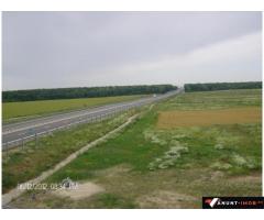Anunturi Imobiliare Vand teren Snagov Ghermanesti 6000 mp  la Nod Autostrada A3