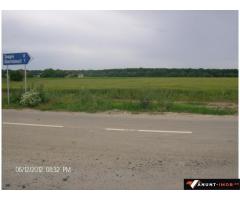 Anunturi Imobiliare Vand teren Snagov Ghermanesti 6000 mp  la Nod Autostrada A3