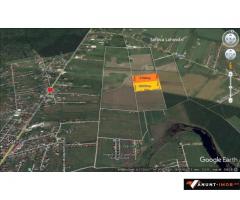 Anunturi Imobiliare Teren 18200 mp  Balotesti Saftica str Abinelor intravilan