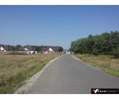 Anunturi Imobiliare Teren Corbeanca str Cantonului 6000 mp la sosea vedere Padure