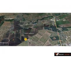 Anunturi Imobiliare Teren Corbeanca str Cantonului 6000 mp la sosea vedere Padure