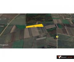 Anunturi Imobiliare Teren Dascalu 10 Ha latura mare Padure Nod Autostrada A3 cu A0