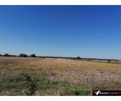Anunturi Imobiliare Teren Moara Vlasiei 11200 mp intravilan apropiere case zona A3