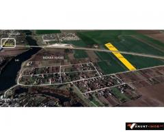 Anunturi Imobiliare Teren Moara Vlasiei 11200 mp intravilan apropiere case zona A3