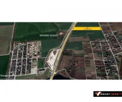Anunturi Imobiliare Teren Moara Vlasiei 11200 mp intravilan apropiere case zona A3