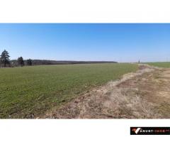 Anunturi Imobiliare Vand teren Saftica 16800 mp vedere Padure si Lac intravilan