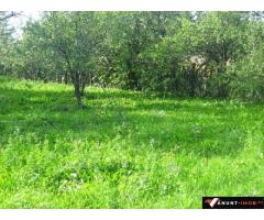Anunturi Imobiliare TEREN SOSEA D.N.1a 1900mp.VANZARE