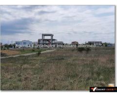 Anunturi Imobiliare teren de vanzare Palazu Mare