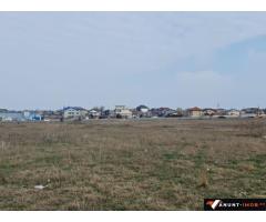Anunturi Imobiliare teren de vanzare constanta zona boreal