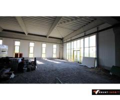 Anunturi Imobiliare De vanzare Hala in constructie, zona industriala Freidorf