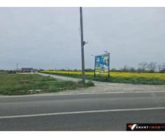 Anunturi Imobiliare vand teren in Agigea la Dn 38