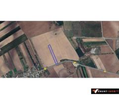 Vanzare teren 5.000 mp, stradal, DC 148 Bolintin Deal - Poenari