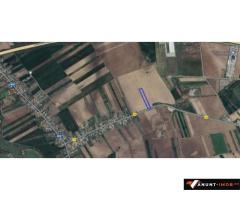 Anunturi Imobiliare Vanzare teren 5.000 mp, stradal, DC 148 Bolintin Deal - Poenari