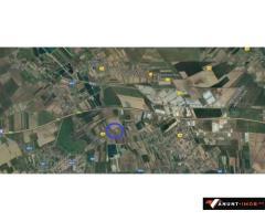 Anunturi Imobiliare Vanzare teren 5.000 mp, stradal, DC 148 Bolintin Deal - Poenari