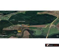 Anunturi Imobiliare Teren latura direct  Padure Snagov  9700 mp  complex Casa Vlasia