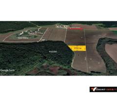 Anunturi Imobiliare Teren latura direct  Padure Snagov  9700 mp  complex Casa Vlasia