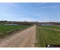 Anunturi Imobiliare Teren Lac Balotesti 5000 mp la str Lacului