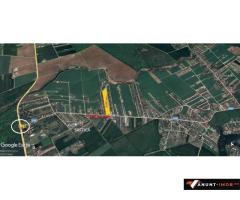 Anunturi Imobiliare Teren 26300 mp la sosea Lahovari Balotesti Saftica cu utilitati