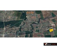 Anunturi Imobiliare Teren la sosea Corbeanca 35000 mp vedere la Padure