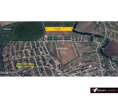 Anunturi Imobiliare Teren Lac Corbeanca 19500 mp str Scolii vecin  Paradisul Verde