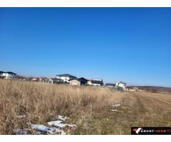 Anunturi Imobiliare Teren Corbeanca str Magnoliei 13200 mp PUZ aprobat dezmembrat loturi