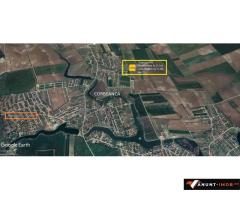 Anunturi Imobiliare Teren Corbeanca str Magnoliei 13200 mp PUZ aprobat dezmembrat loturi