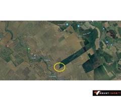 Anunturi Imobiliare Vanzare teren Frumusani, 7.961 mp, D: 175 m, langa padure
