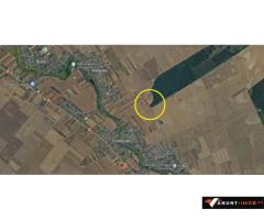 Anunturi Imobiliare Vanzare teren Frumusani, 7.961 mp, D: 175 m, langa padure