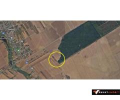 Anunturi Imobiliare Vanzare teren Frumusani, 7.961 mp, D: 175 m, langa padure