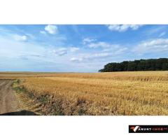 Anunturi Imobiliare Vanzare teren Frumusani, 7.961 mp, D: 175 m, langa padure