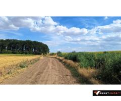 Anunturi Imobiliare Vanzare teren Frumusani, 7.961 mp, D: 175 m, langa padure