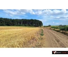 Anunturi Imobiliare Vanzare teren Frumusani, 7.961 mp, D: 175 m, langa padure