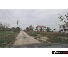 Anunturi Imobiliare teren de vanzare Palazu Mare