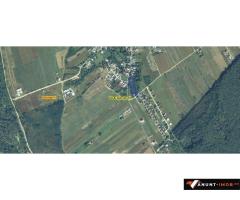 Anunturi Imobiliare Teren Domnesti / Teghes / 3.126 mp / casa demolabila