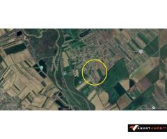 Anunturi Imobiliare Teren Domnesti / Teghes / 3.126 mp / casa demolabila