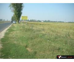 Anunturi Imobiliare Teren intravilan cu utilizare mixtă, lotizat, 125000mp, Calarasi