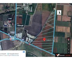 Anunturi Imobiliare Teren intravilan cu utilizare mixtă, lotizat, 125000mp, Calarasi